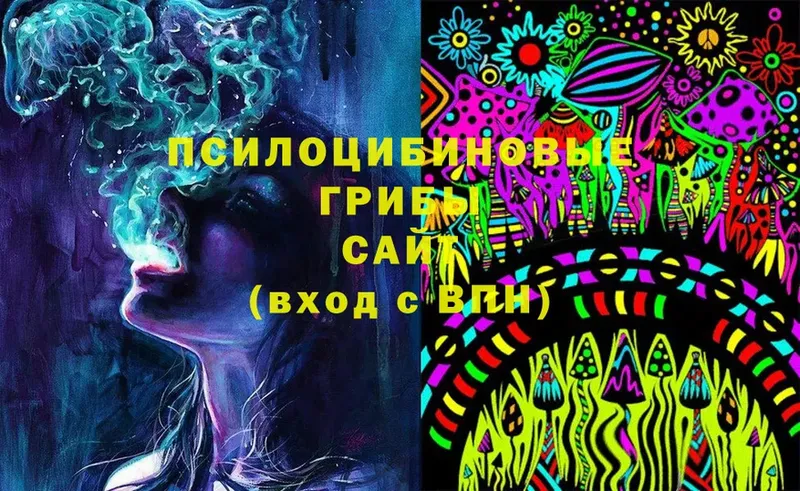 Галлюциногенные грибы Psilocybine cubensis  Высоковск 